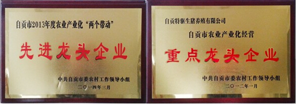 自貢市農(nóng)業(yè)產(chǎn)業(yè)化“兩個帶動”先進(jìn)龍頭企業(yè)